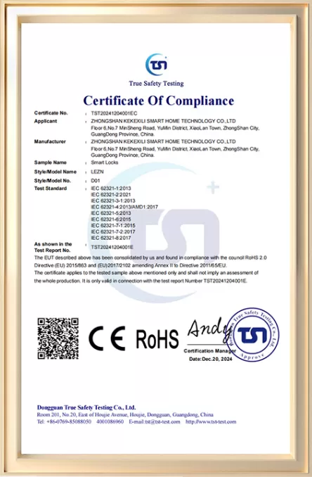 D01 RoHS Certificate of Compliance — issued 20 December 2024