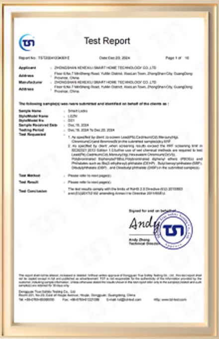 D01 RoHS test report cover — issued 20 December 2024