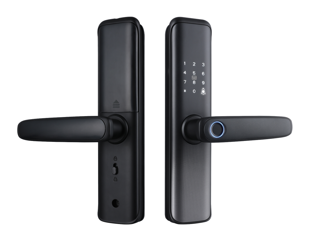 D01 Series smart lock