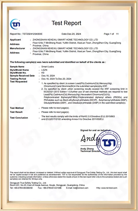 K9 RoHS test report cover — issued 20 December 2024