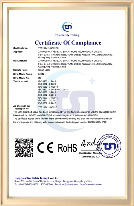 i19 RoHS Certificate of Compliance — issued 20 December 2024