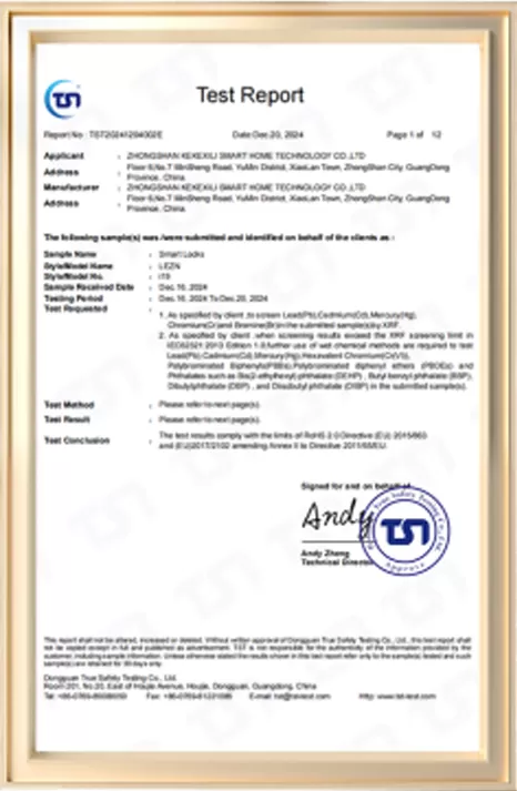 i19 RoHS test report cover — issued 20 December 2024